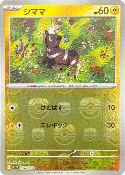 シママ