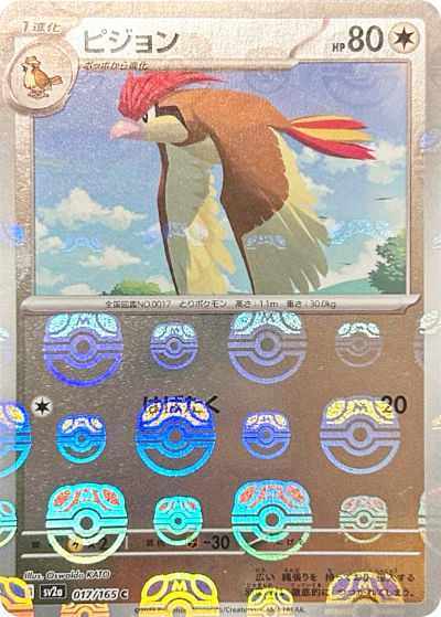 ピジョン