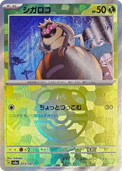 シガロコ