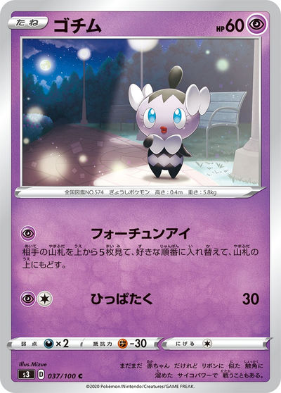 ゴチム