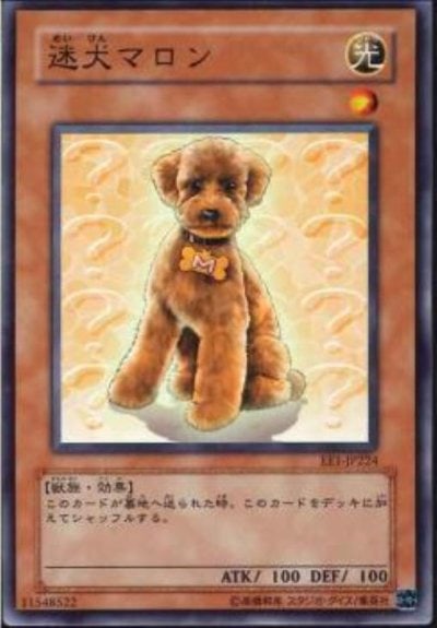 迷犬マロン