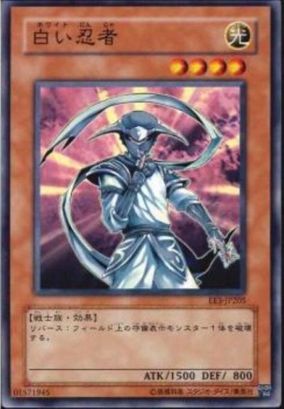 白い忍者