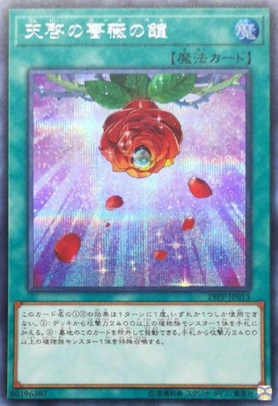 天啓の薔薇の鐘