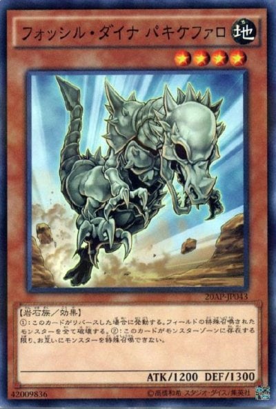 フォッシル・ダイナ パキケファロ