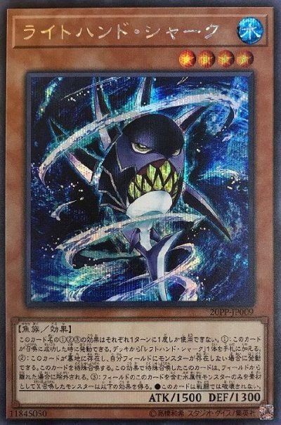 ライトハンド・シャーク