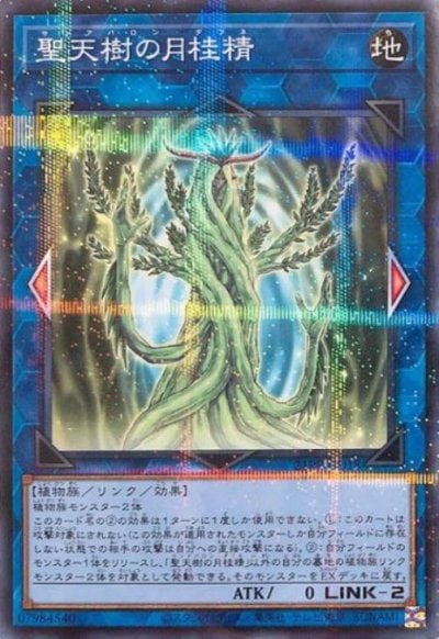 聖天樹の月桂精