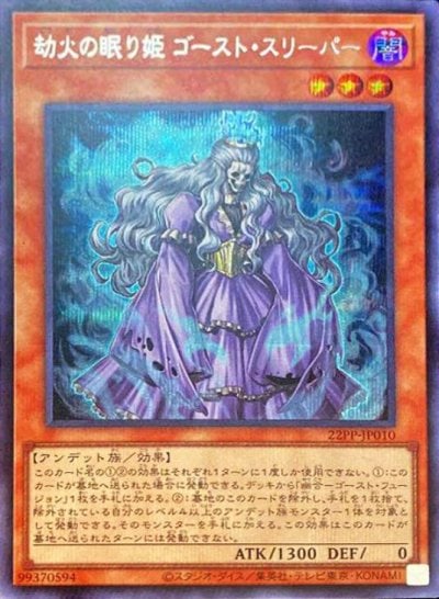 劫火の眠り姫 ゴースト・スリーパー