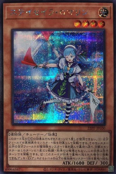 ステイセイラ・ロマリン