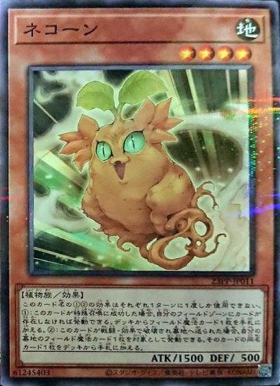 ネコーン