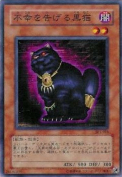 不幸を告げる黒猫