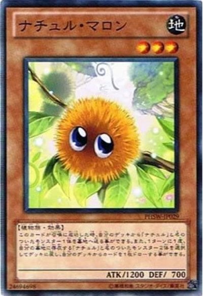 ナチュル・マロン