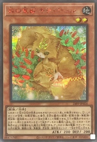 森の聖獣 キティテール