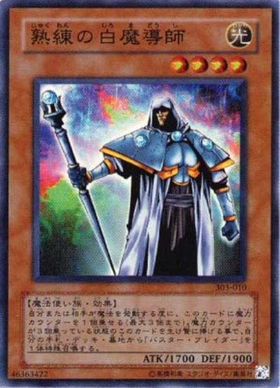 熟練の白魔導師