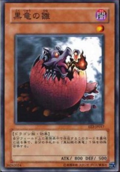 黒竜の雛