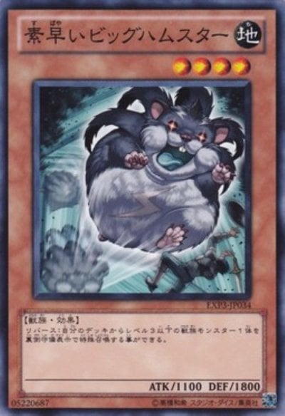 素早いビッグハムスター