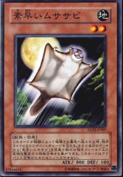 素早いムササビ