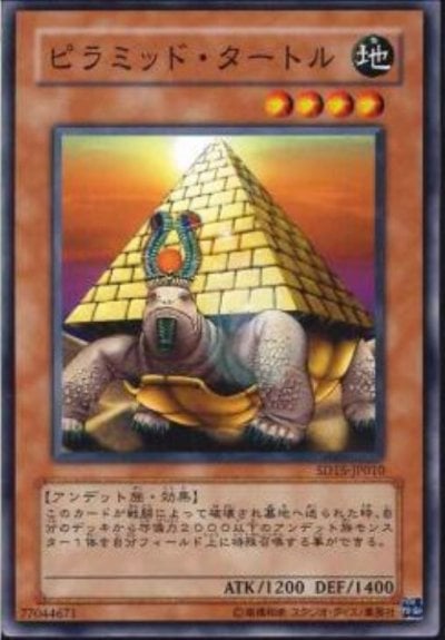 ピラミッド・タートル