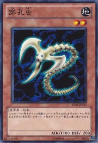 穿孔虫