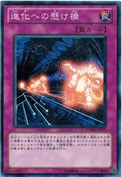 進化への懸け橋