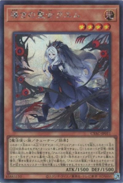 導きの聖女クエム
