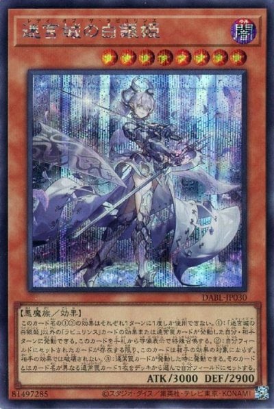 迷宮城の白銀姫