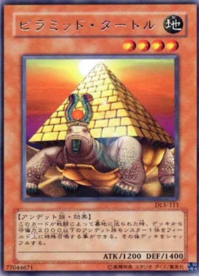 ピラミッド・タートル