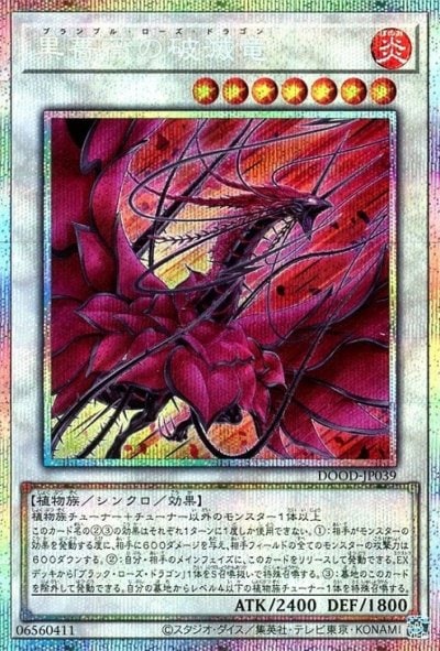 黒薔薇の破滅竜