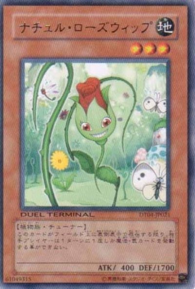 ナチュル・ローズウィップ