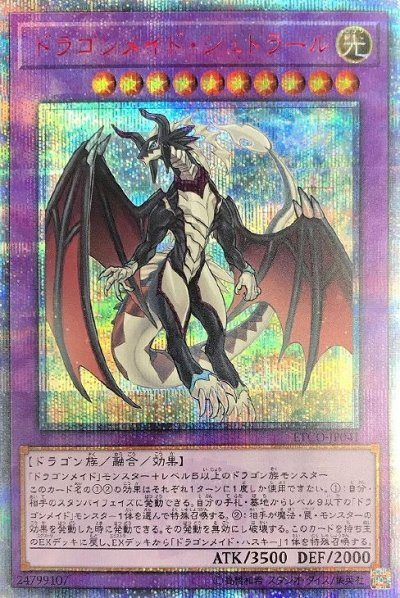 ドラゴンメイド・シュトラール