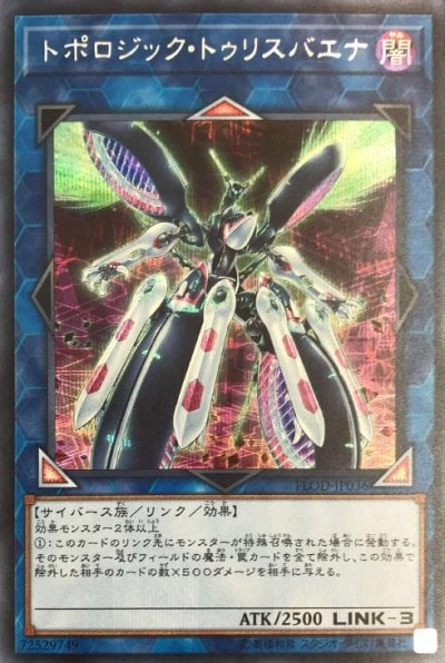 トポロジック・トゥリスバエナ