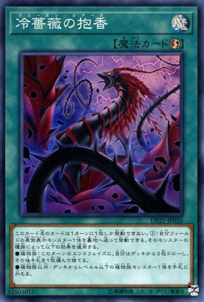 冷薔薇の抱香