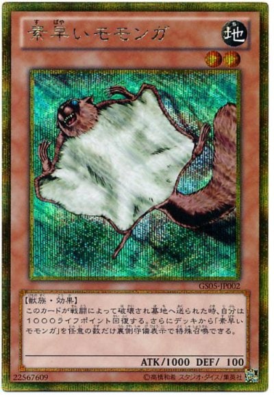 素早いモモンガ