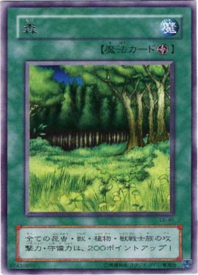 森