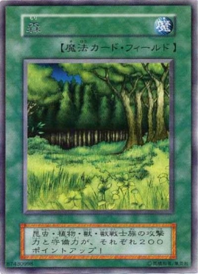 森