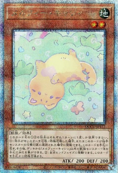 メルフィー・キャシィ