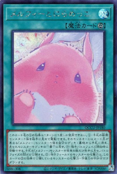 メルフィーとにらめっこ