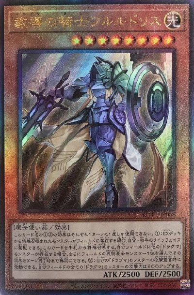 教導の騎士フルルドリス