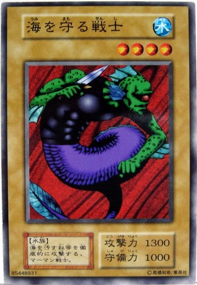 海を守る戦士