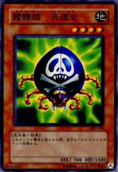髑髏顔 天道虫
