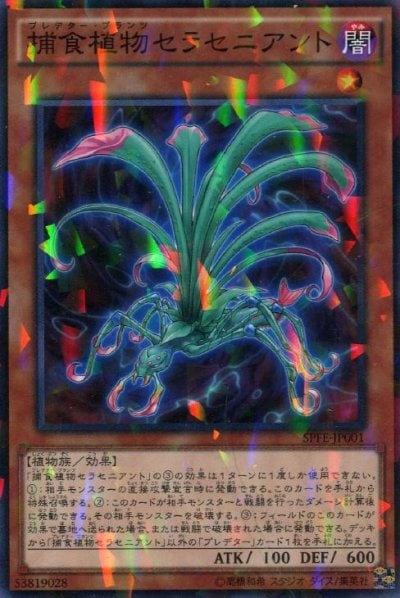 捕食植物セラセニアント