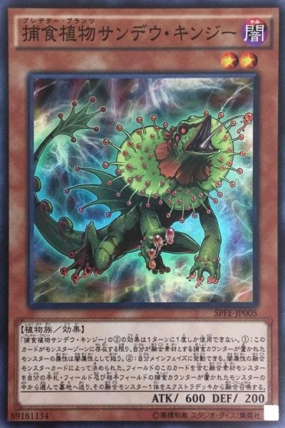 捕食植物サンデウ・キンジー
