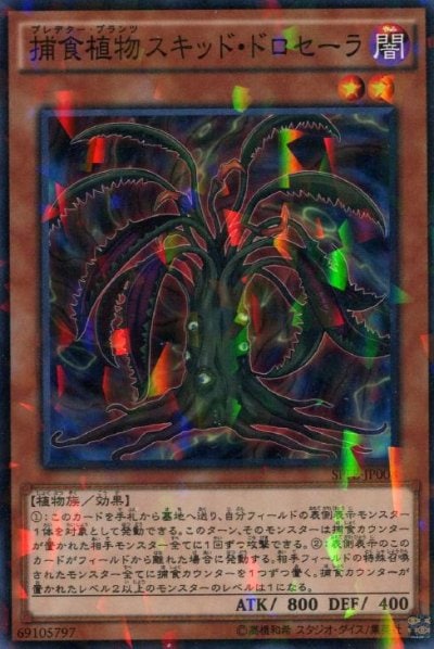 捕食植物スキッド・ドロセーラ