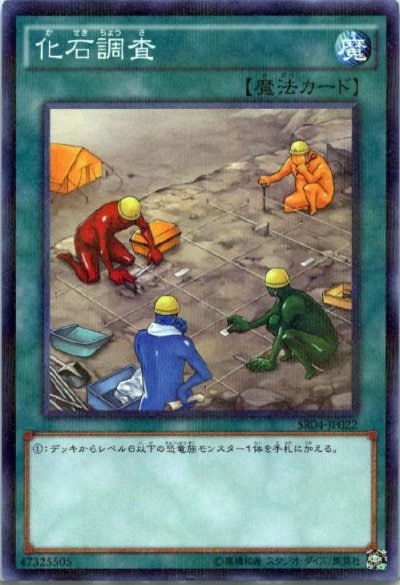化石調査