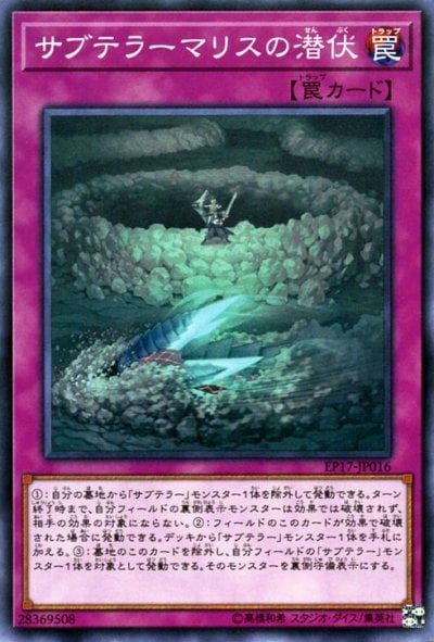 サブテラーマリスの潜伏
