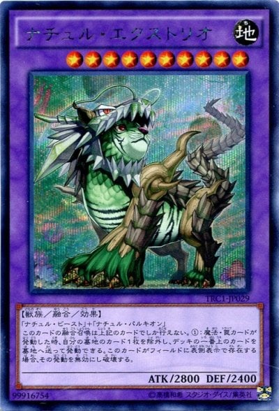 ナチュル・エクストリオ