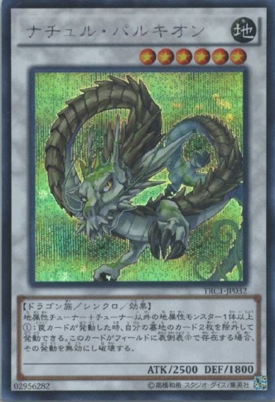 ナチュル・パルキオン