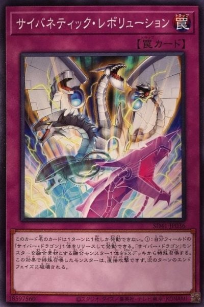 サイバネティック・レボリューション