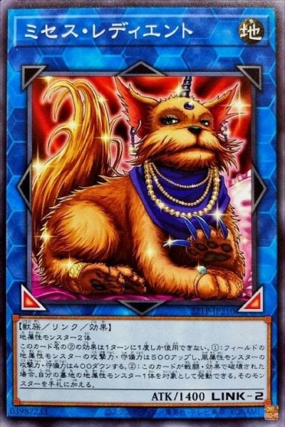 ミセス・レディエント