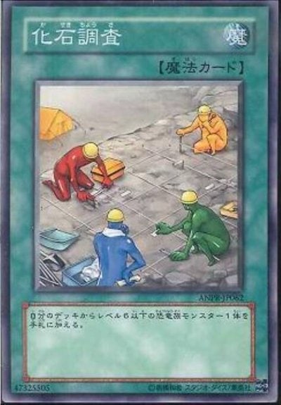 化石調査