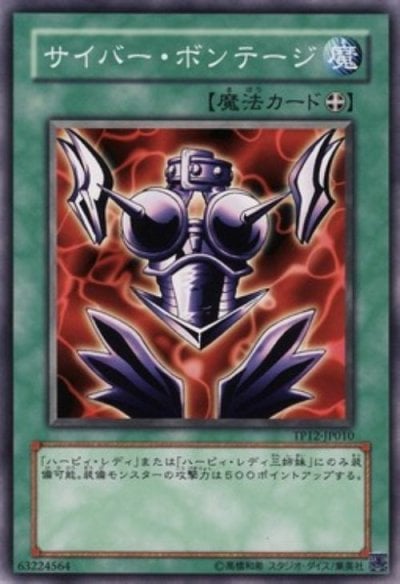 サイバー・ボンテージ